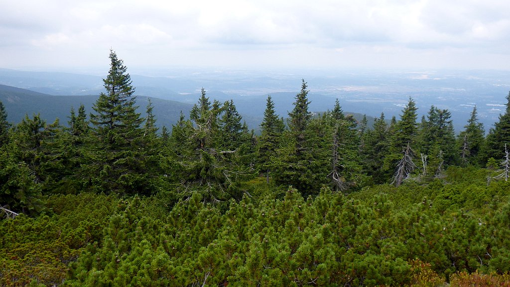 549_3D2_P1040001.JPG