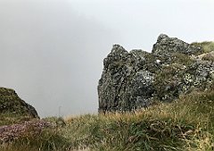 281_iP_190822_IMG_4506