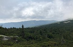 415_iP_190822_IMG_4538