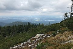 561_iP_190822_IMG_4563