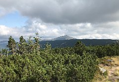 678_iP_190822_IMG_4581