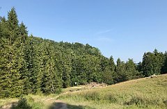 059_iP_190828_IMG_4656