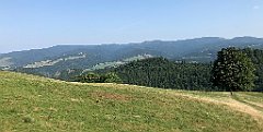 174_iP_190828_IMG_4674