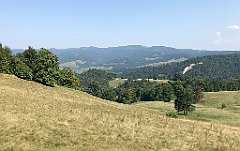 189_iP_190828_IMG_4679