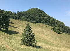 198_iP_190828_IMG_4681
