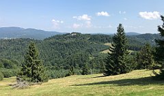 221_iP_190828_IMG_4683