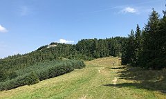 242_iP_190828_IMG_4688