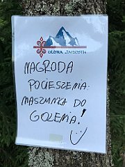 287_iP_190829_IMG_4728