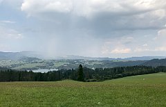 339_iP_190829_IMG_4738