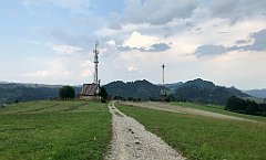 379_iP_190829_IMG_4753