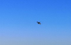 224_p20_IMG_20190922_102430