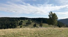 111_iP_190923_IMG_4874