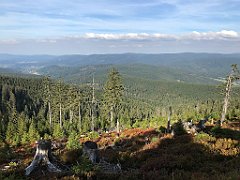 429_iP_190923_IMG_4931