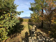 172_iP_191012_IMG_5137