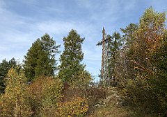 208_iP_191012_IMG_5143