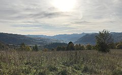 272_iP_191012_IMG_5162