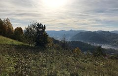 292_iP_191012_IMG_5180