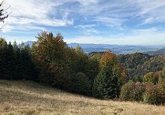 339_iP_191012_IMG_5188