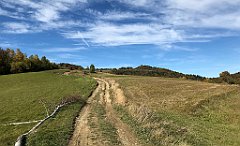 516_iP_191012_IMG_5206