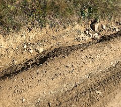 517_iP_191012_IMG_5208