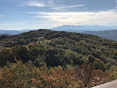 749_iP_191012_IMG_5285