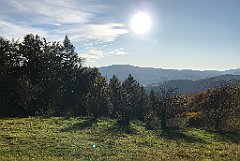 897_iP_191012_IMG_5316