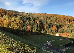 081_iP_191015_IMG_5331