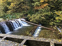 179_iP_191015_IMG_5347