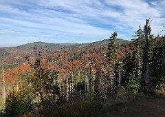 397_iP_191015_IMG_5361