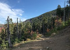 398_iP_191015_IMG_5363