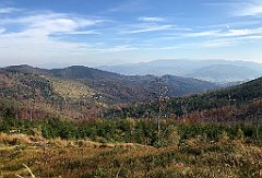 515_iP_191015_IMG_5404