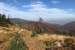 629_iP_191015_IMG_5459