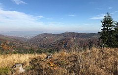 630_iP_191015_IMG_5460