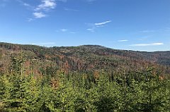 660_iP_191015_IMG_5466