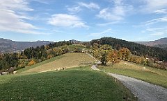 714_iP_191015_IMG_5480