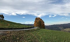 719_iP_191015_IMG_5485