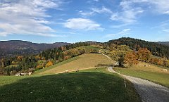 735_iP_191015_IMG_5490