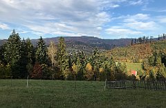 765_iP_191015_IMG_5504