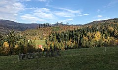 766_iP_191015_IMG_5503