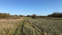 293_iP_191027_IMG_5555