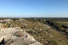 497_iP_191027_IMG_5594