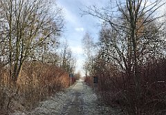 110_iP_200102_IMG_5668