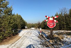 248_iP_200107_IMG_5813