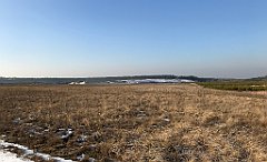 296_iP_200107_IMG_5823