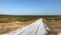 299_iP_200107_IMG_5826