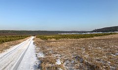 300_iP_200107_IMG_5827