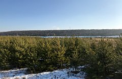 307_iP_200107_IMG_5816