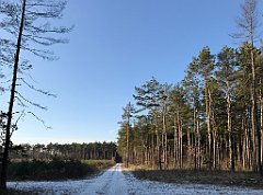 480_iP_200107_IMG_5857