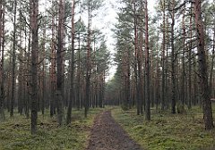 364_iP_200114_IMG_5923