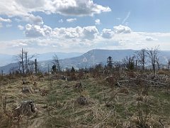 160_iP_200428_IMG_0054